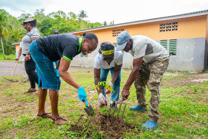 Planting Trees