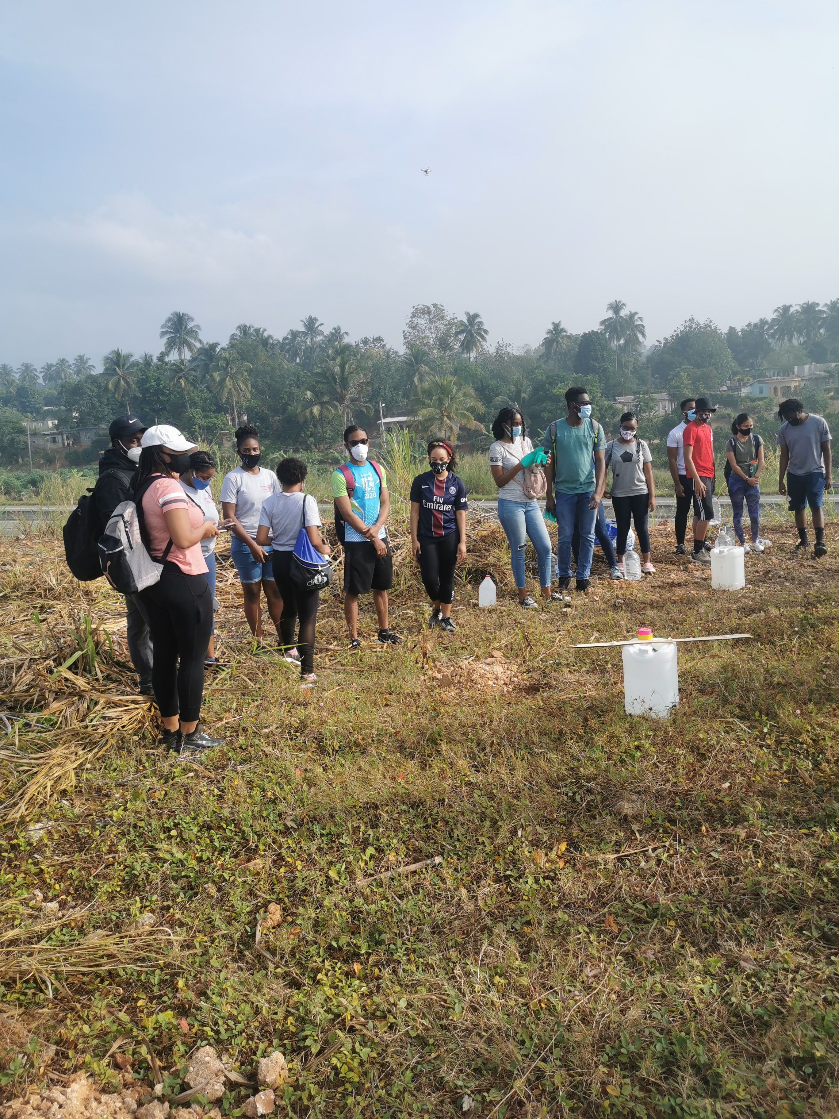 tree planting